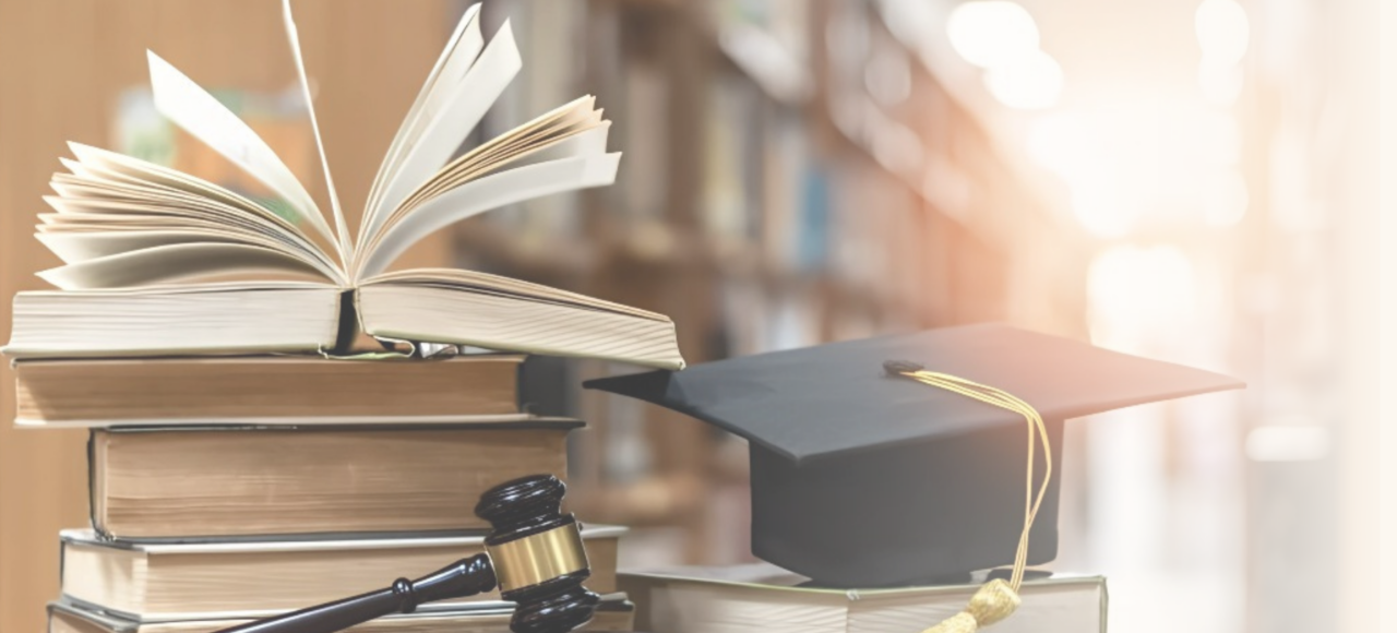 Parcours universitaire et formation juridique Marie Denimal (1)